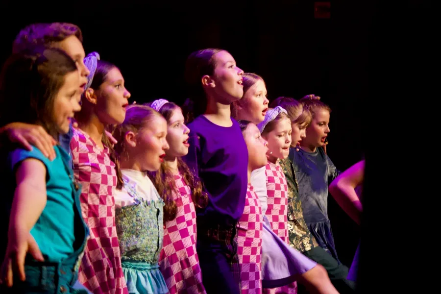 VPS Starlights Musical Company — young performers singing on stage in costume